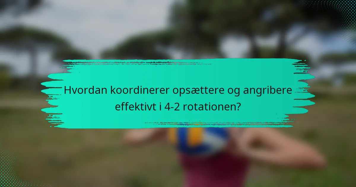 Hvordan koordinerer opsættere og angribere effektivt i 4-2 rotationen?